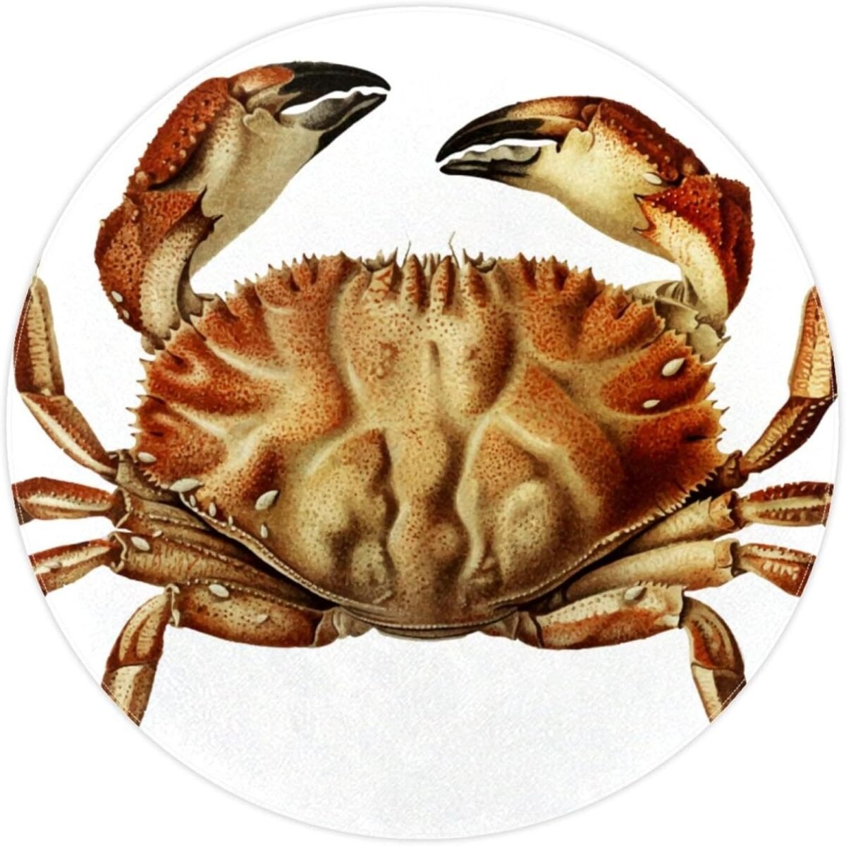 Dungeness Crab Round Bath Rugs Absorbent Non Slip Door