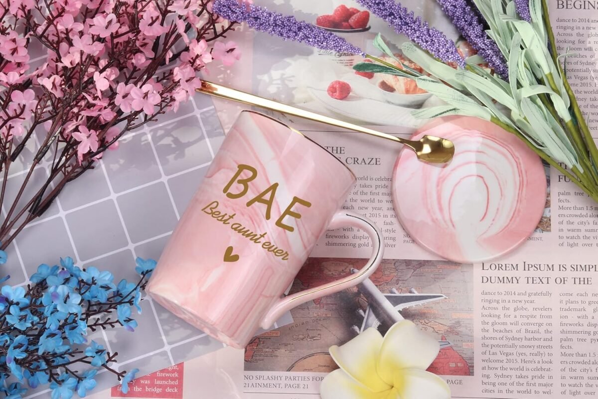 1740571225 WENSSY Aunt Gifts BAE Best Aunt Ever Mug Aunt Mug Mothe