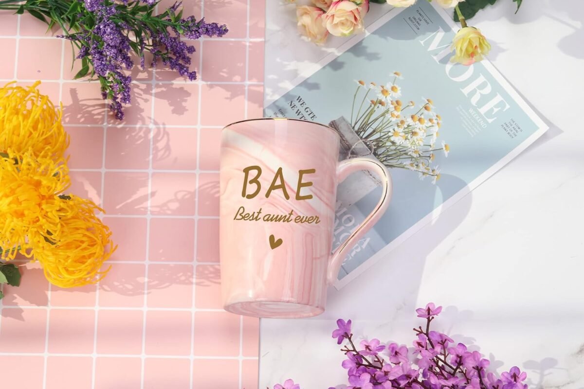 1740571227 WENSSY Aunt Gifts BAE Best Aunt Ever Mug Aunt Mug Mothe