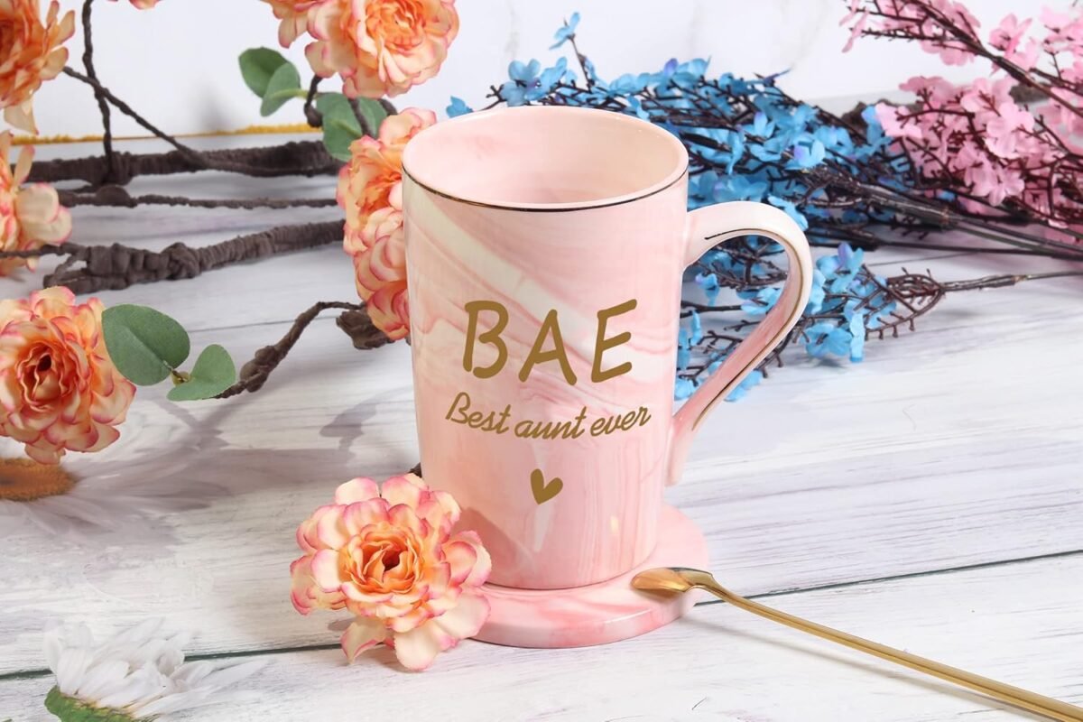 1740571230 WENSSY Aunt Gifts BAE Best Aunt Ever Mug Aunt Mug Mothe