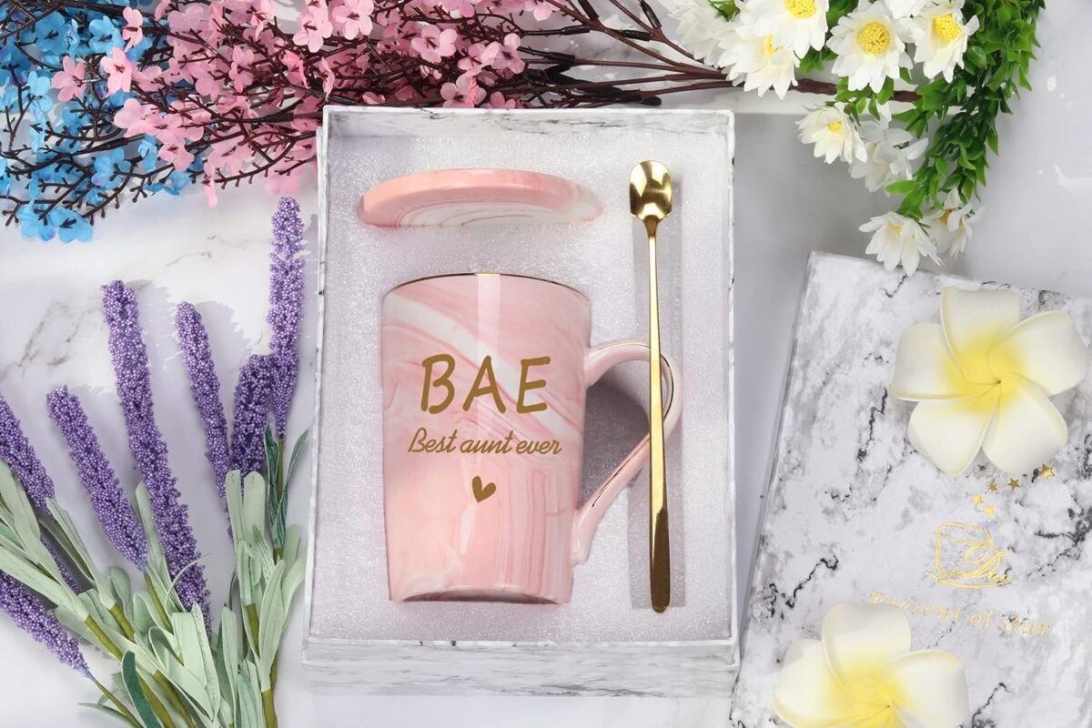 1740571240 WENSSY Aunt Gifts BAE Best Aunt Ever Mug Aunt Mug Mothe