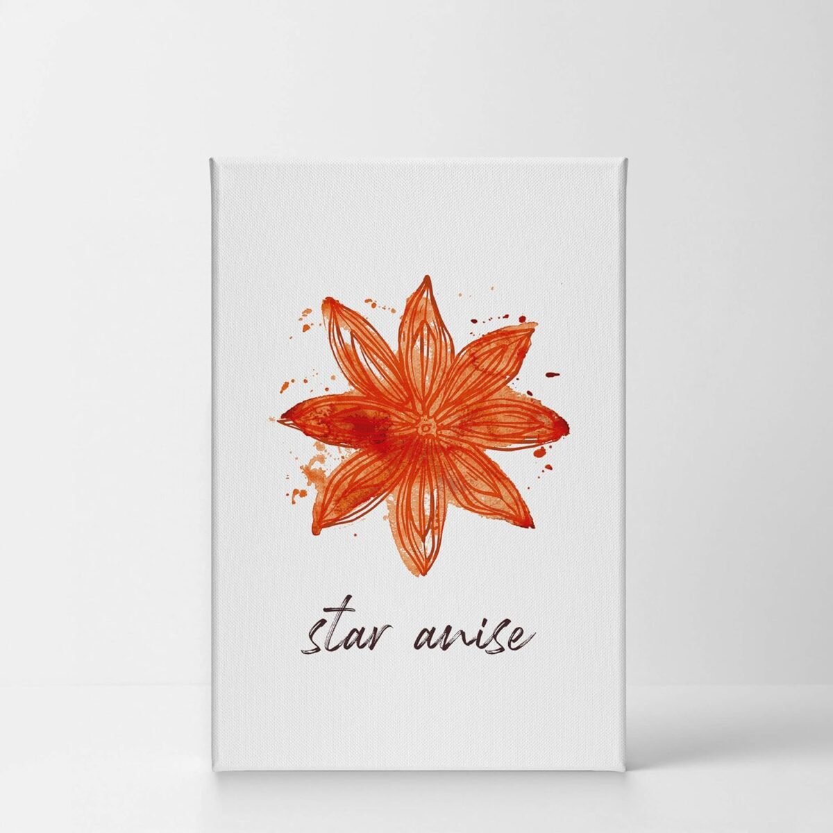 1749832031 Smile Art Design Star Anise Watercolor Painting Letteri