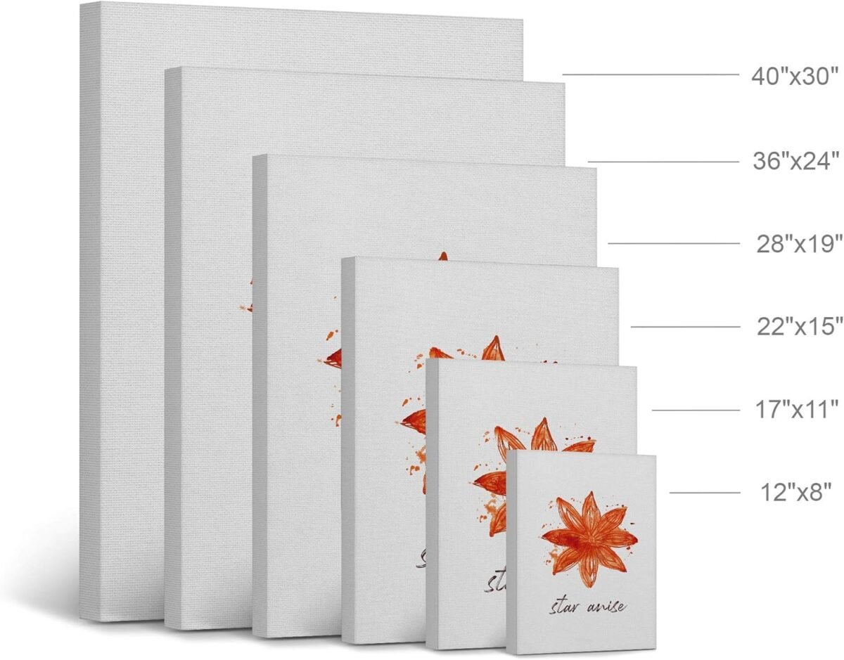 1749832033 Smile Art Design Star Anise Watercolor Painting Letteri